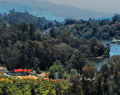 Ooty-deals