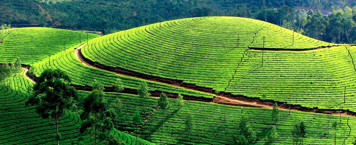 Ooty-Tour-Package